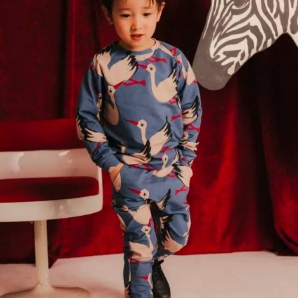 Dear Sophie Kid's Stork Blue Single Print Jersey Long Sleeve - 6-8Y